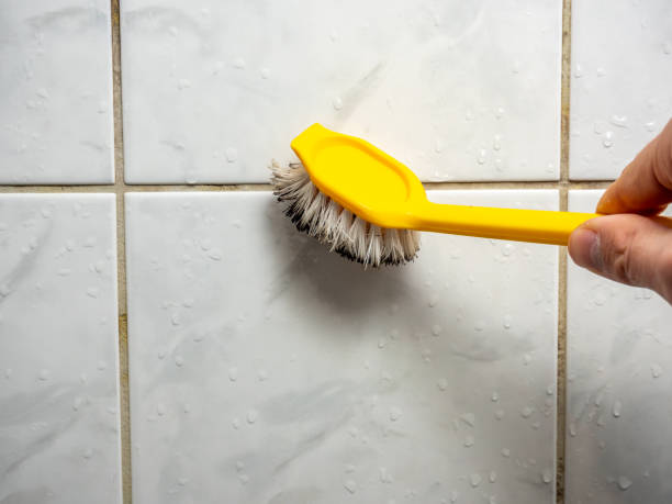 Professional Mold Remediation in Park City, MT